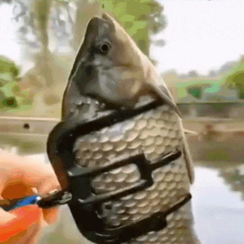 Fishing Plier Gripper Metal Fish - Lumefish™