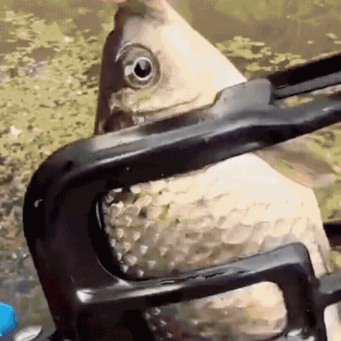Fishing Plier Gripper Metal Fish - Lumefish™