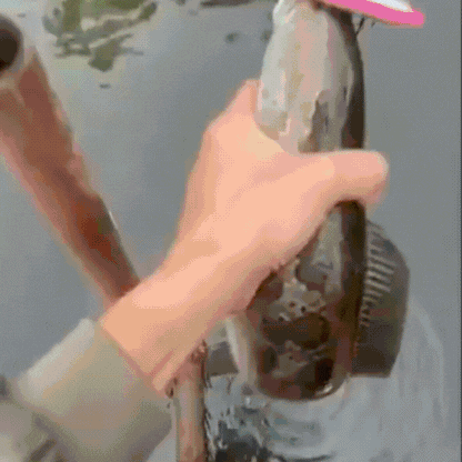 Fishing Plier Gripper Metal Fish - Lumefish™